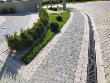 Yeşil bitkilerle dolu bahçe taşı patikası, gündüz vakti tuğla kaldırım. 