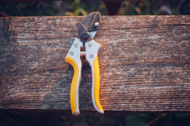 Bahçe makası çalıları budamak için