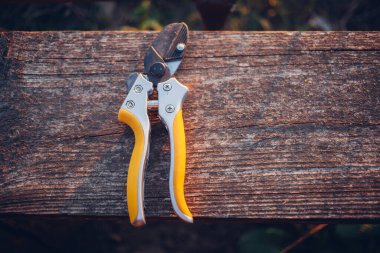 Bahçe makası çalıları budamak için