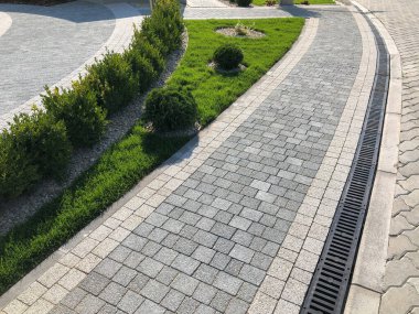 Yeşil bitkilerle dolu bahçe taşı patikası, gündüz vakti tuğla kaldırım. 