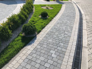 Yeşil bitkilerle dolu bahçe taşı patikası, gündüz vakti tuğla kaldırım. 