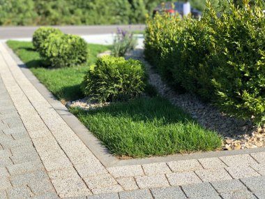 Yeşil bitkilerle dolu bahçe taşı patikası, gündüz vakti tuğla kaldırım. 