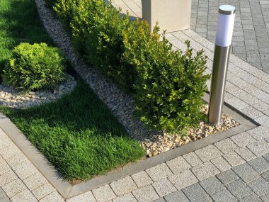 Yeşil bitkilerle dolu bahçe taşı patikası, gündüz vakti tuğla kaldırım. 