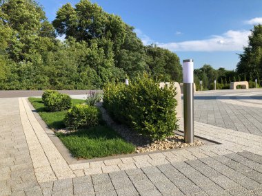 Yeşil bitkilerle dolu bahçe taşı patikası, gündüz vakti tuğla kaldırım. 