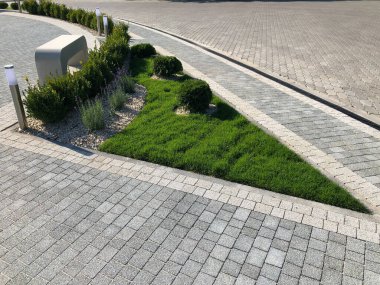 Yeşil bitkilerle dolu bahçe taşı patikası, gündüz vakti tuğla kaldırım. 