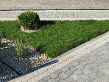 Yeşil bitkilerle dolu bahçe taşı patikası, gündüz vakti tuğla kaldırım. 