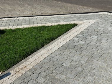 Yeşil bitkilerle dolu bahçe taşı patikası, gündüz vakti tuğla kaldırım. 