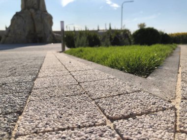 Yeşil bitkilerle dolu bahçe taşı patikası, gündüz vakti tuğla kaldırım. 