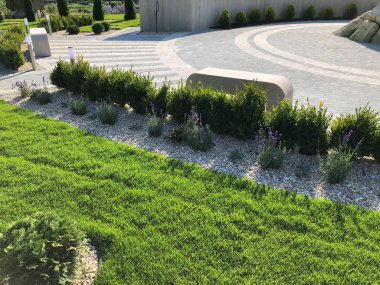 Yeşil bitkilerle dolu bahçe taşı patikası, gündüz vakti tuğla kaldırım. 