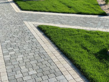 Yeşil bitkilerle dolu bahçe taşı patikası, gündüz vakti tuğla kaldırım. 