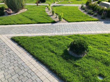 Yeşil bitkilerle dolu bahçe taşı patikası, gündüz vakti tuğla kaldırım. 