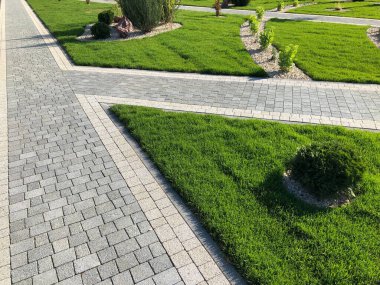 Yeşil bitkilerle dolu bahçe taşı patikası, gündüz vakti tuğla kaldırım. 