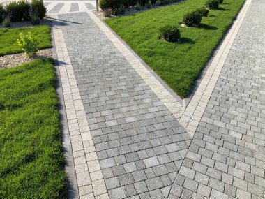 Yeşil bitkilerle dolu bahçe taşı patikası, gündüz vakti tuğla kaldırım. 