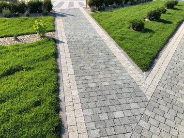 Yeşil bitkilerle dolu bahçe taşı patikası, gündüz vakti tuğla kaldırım. 