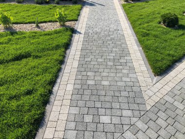 Yeşil bitkilerle dolu bahçe taşı patikası, gündüz vakti tuğla kaldırım. 