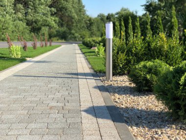 Yeşil bitkilerle dolu bahçe taşı patikası, gündüz vakti tuğla kaldırım. 