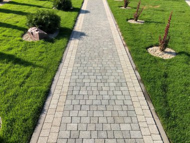 Yeşil bitkilerle dolu bahçe taşı patikası, gündüz vakti tuğla kaldırım. 