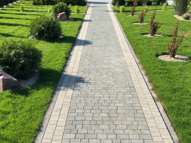 Yeşil bitkilerle dolu bahçe taşı patikası, gündüz vakti tuğla kaldırım. 