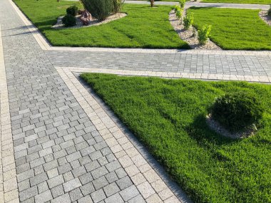 Yeşil bitkilerle dolu bahçe taşı patikası, gündüz vakti tuğla kaldırım. 