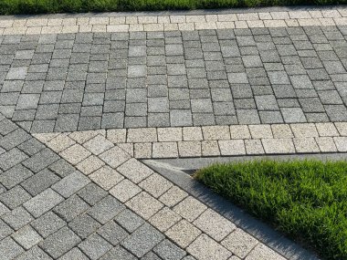 Yeşil bitkilerle dolu bahçe taşı patikası, gündüz vakti tuğla kaldırım. 