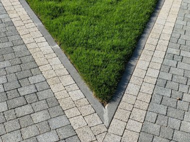 Yeşil bitkilerle dolu bahçe taşı patikası, gündüz vakti tuğla kaldırım. 