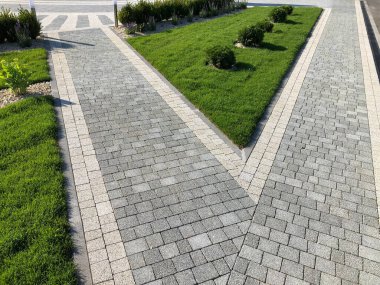 Yeşil bitkilerle dolu bahçe taşı patikası, gündüz vakti tuğla kaldırım. 