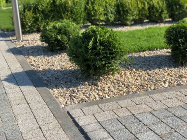 Yeşil bitkilerle dolu bahçe taşı patikası, gündüz vakti tuğla kaldırım. 