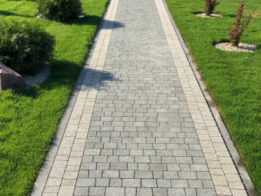 Yeşil bitkilerle dolu bahçe taşı patikası, gündüz vakti tuğla kaldırım. 