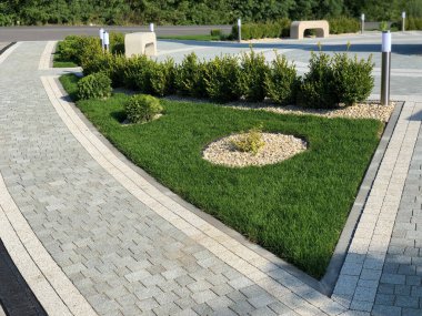 Yeşil bitkilerle dolu bahçe taşı patikası, gündüz vakti tuğla kaldırım. 