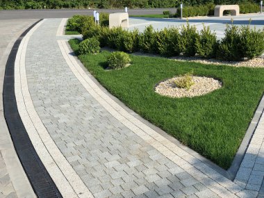 Yeşil bitkilerle dolu bahçe taşı patikası, gündüz vakti tuğla kaldırım. 