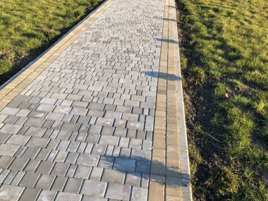 Yeşil bitkilerle dolu bahçe taşı patikası, gündüz vakti tuğla kaldırım. 