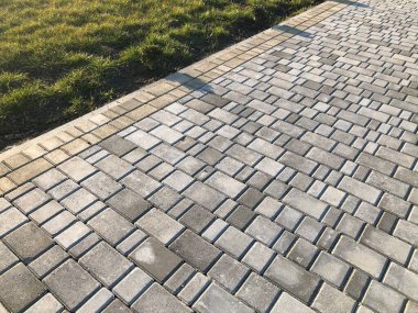 Yeşil bitkilerle dolu bahçe taşı patikası, gündüz vakti tuğla kaldırım. 