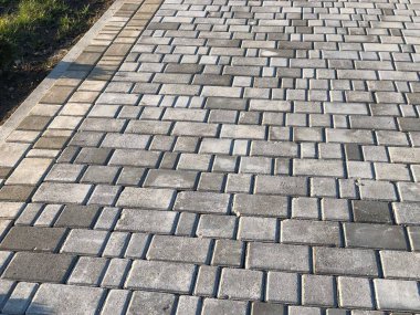 Yeşil bitkilerle dolu bahçe taşı patikası, gündüz vakti tuğla kaldırım. 