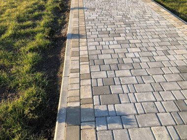Yeşil bitkilerle dolu bahçe taşı patikası, gündüz vakti tuğla kaldırım. 
