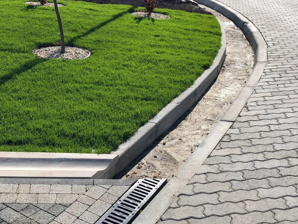 Yeşil bitkilerle dolu bahçe taşı patikası, gündüz vakti tuğla kaldırım. 