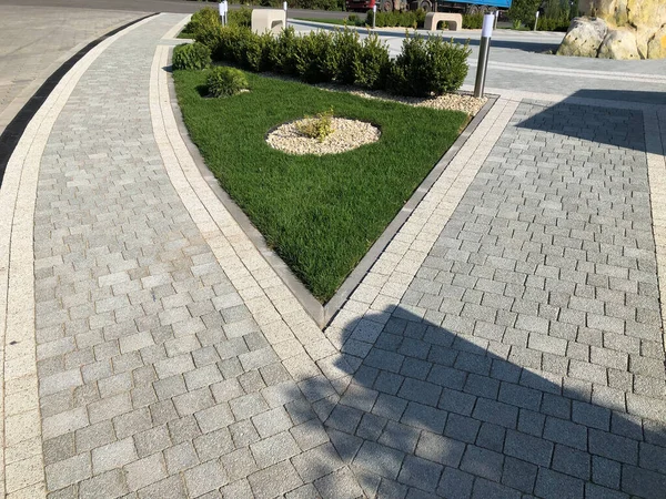 Yeşil bitkilerle dolu bahçe taşı patikası, gündüz vakti tuğla kaldırım. 