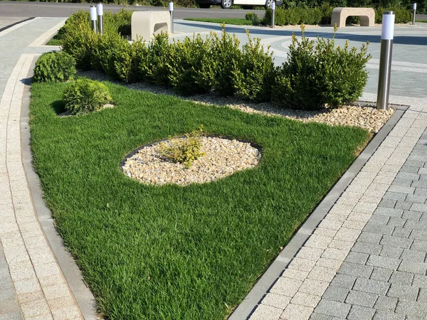 Yeşil bitkilerle dolu bahçe taşı patikası, gündüz vakti tuğla kaldırım. 