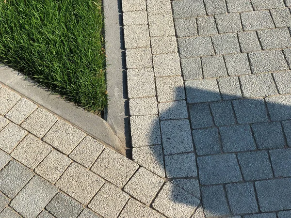 Gündüzleri şık bahçede çeşitli renklerde birbirine yakın köşeler.