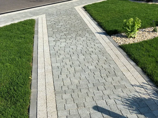 Yeşil bitkilerle dolu bahçe taşı patikası, gündüz vakti tuğla kaldırım. 