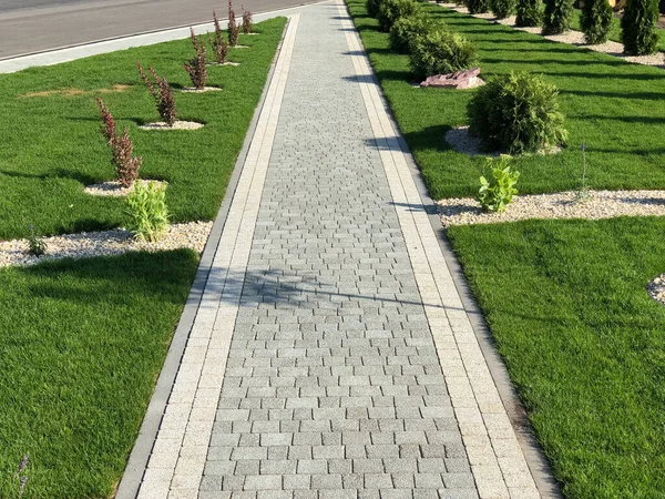 Yeşil bitkilerle dolu bahçe taşı patikası, gündüz vakti tuğla kaldırım. 