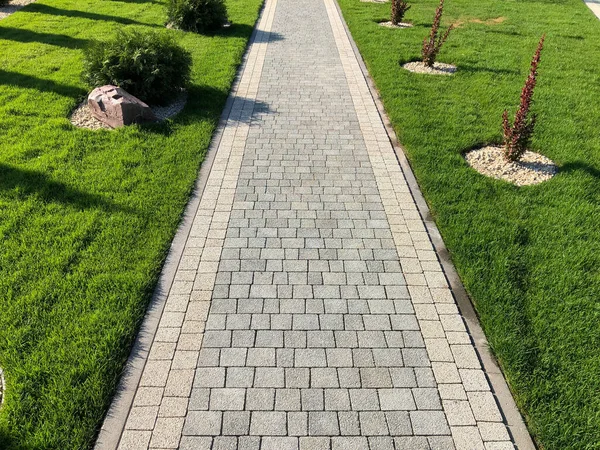 Yeşil bitkilerle dolu bahçe taşı patikası, gündüz vakti tuğla kaldırım. 