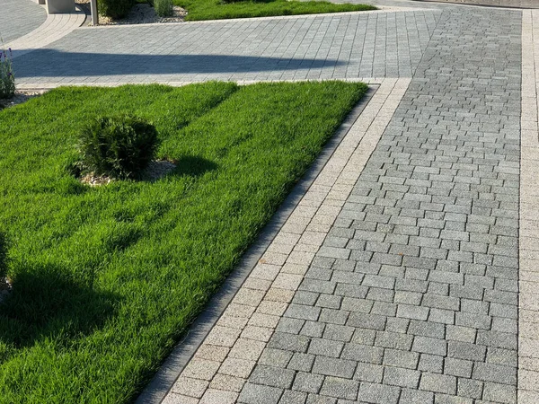 Yeşil bitkilerle dolu bahçe taşı patikası, gündüz vakti tuğla kaldırım. 