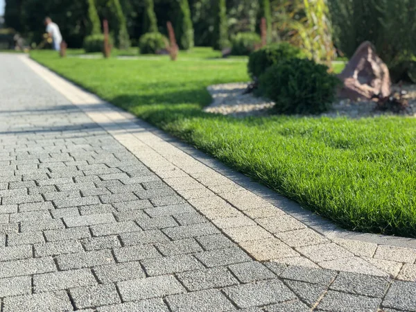 Trädgård Stenstig Med Gröna Växter Tegel Trottoar Dagtid — Stockfoto