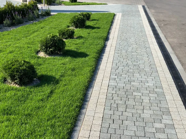 Yeşil bitkilerle dolu bahçe taşı patikası, gündüz vakti tuğla kaldırım. 