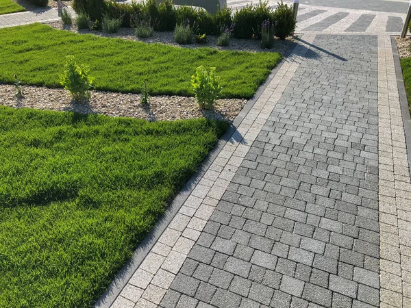 Yeşil bitkilerle dolu bahçe taşı patikası, gündüz vakti tuğla kaldırım. 