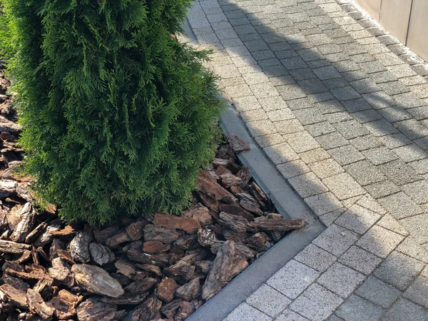 Yeşil bitkilerle dolu bahçe taşı patikası, gündüz vakti tuğla kaldırım. 