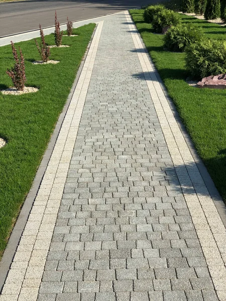 Yeşil bitkilerle dolu bahçe taşı patikası, gündüz vakti tuğla kaldırım. 