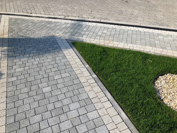 Caminho Pedra Jardim Com Plantas Verdes Calçada Tijolo Durante Dia — Fotografia de Stock