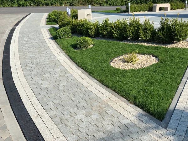 Yeşil bitkilerle dolu bahçe taşı patikası, gündüz vakti tuğla kaldırım. 
