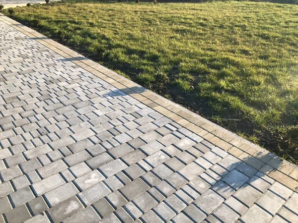 Yeşil bitkilerle dolu bahçe taşı patikası, gündüz vakti tuğla kaldırım. 